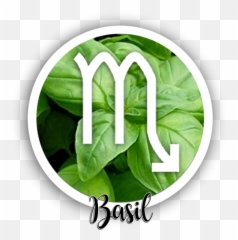 Herbs U2013 Intuitive Home Solutions - Fines Herbes Emoji,No Emotions For Magick