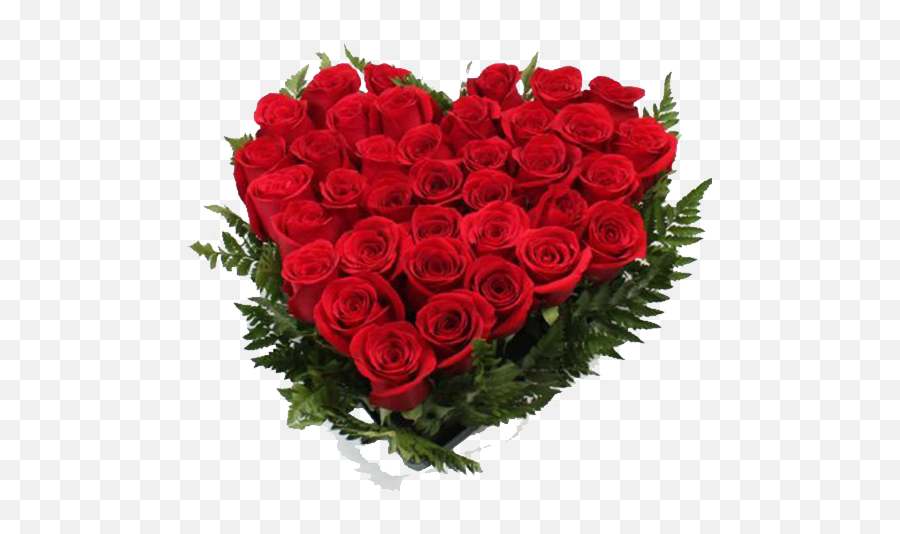 Rosas Rojas Png - Love Good Morning Wishes 1230456 Vippng Birthday Wishes For Wife Hd Emoji,Googd Morning America Smile Emoticon