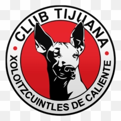 Noticias De Deportes Resultados Videos - Xolos De Tijuana Emoji,Angela Guzman Creadora De Emojis
