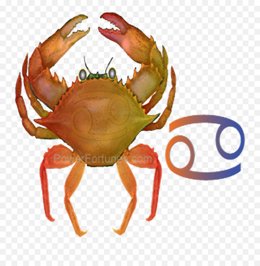 Tomorrowu0027s Horoscopes For Cancer Sun February 28th 2021 - Dungeness Crab Emoji,Crab Emoji