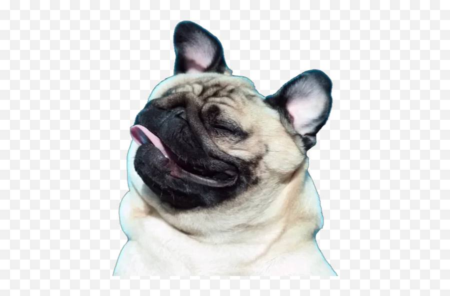 Pug Mood Stickers For Whatsapp - Pug Emoji,Pug Emoji Android