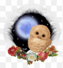 Pin On Birds Gifs - Soft Emoji,
