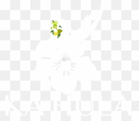 Ka Hula Deep Root Center For - Language Emoji,Hula Emoji