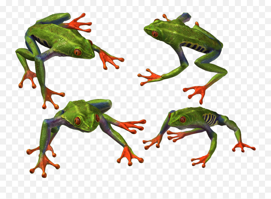 Frog Png High Quality Image - Frogs Emoji,What Is Coffee Frog Emoji