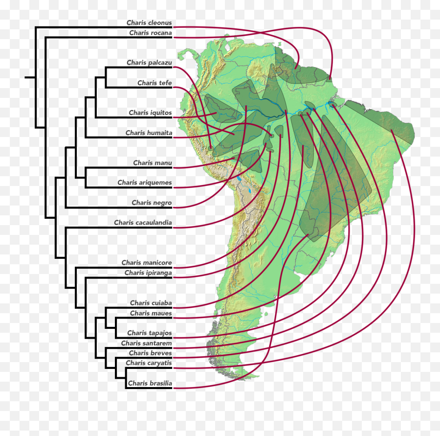 Allopatric Speciation - Wikipedia Emoji,Different Emotions To Discribe Peace