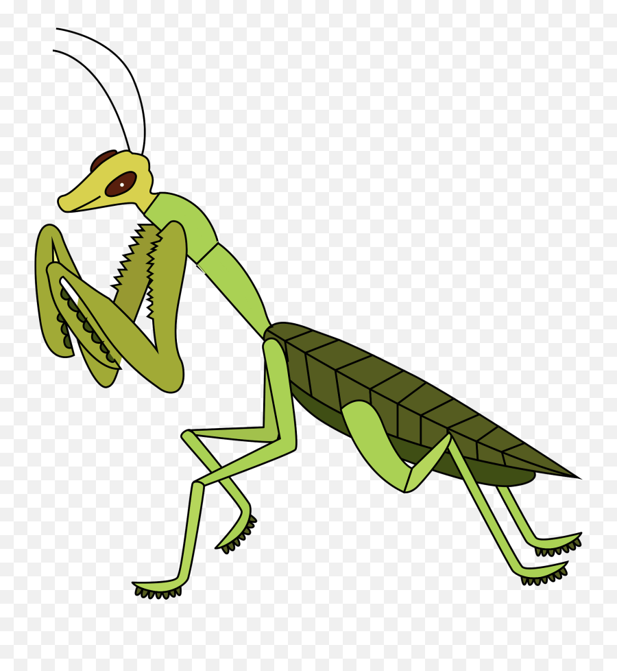 Praying Mantis Clipart - Mantis Clipart Emoji,Mantis Emoji