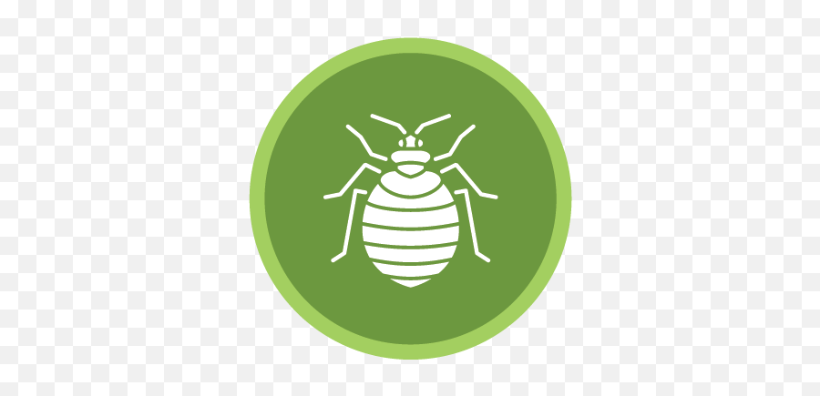 Green Pest Control With Green Pest Guys - Parasitism Emoji,What Is The Termite, Ladybug Emoticon