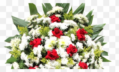 Chilflor Floricultura Rui Barbosa O Melhor Quiosque De - Floricultura Curitiba Água Verde Emoji,Coroas De Folres Para Velorio Em Emoji