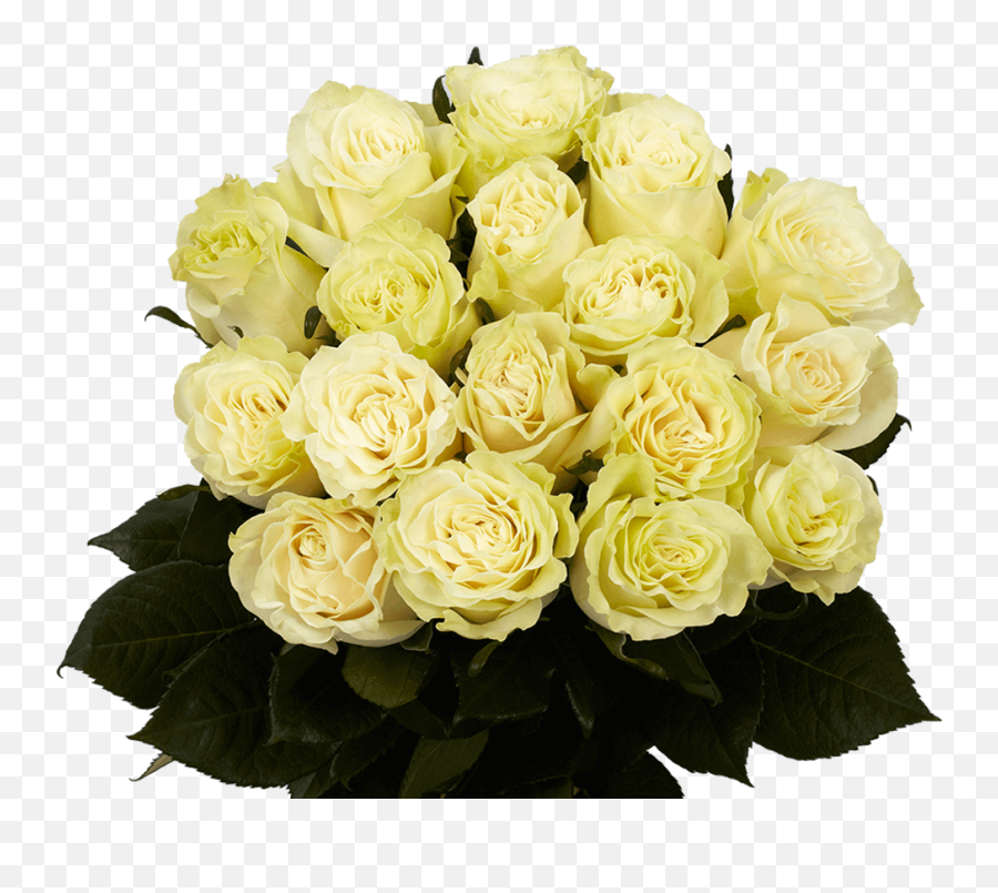White Roses Fresh Mondial Roses Flowers - Mondial Roses Emoji,What Is The Emotion For Yellow Roses