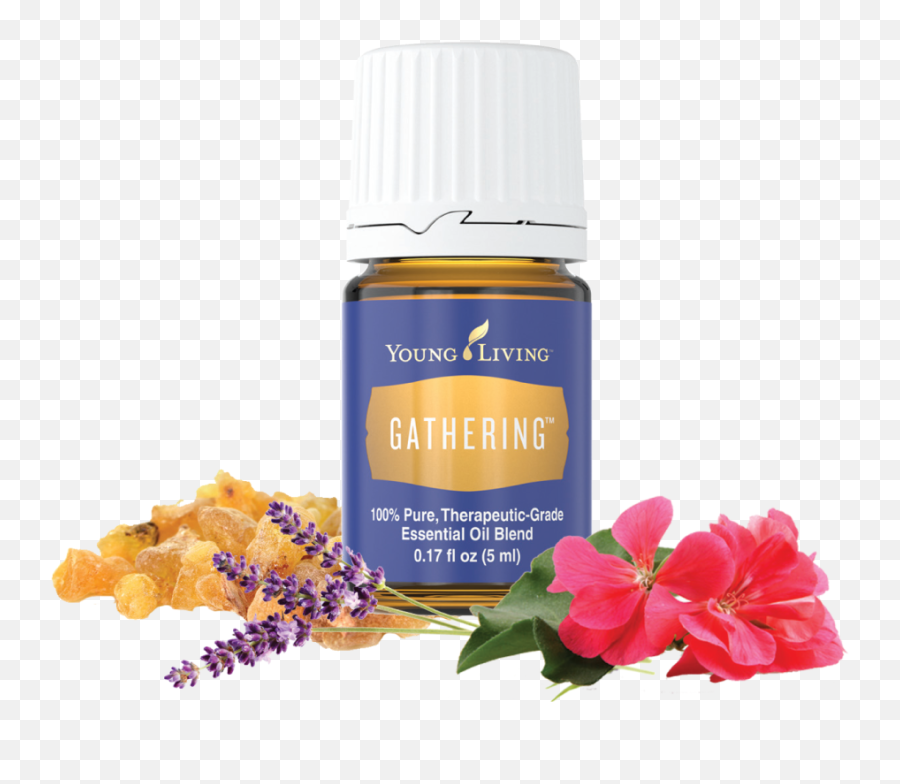 Gathering Essential Oil Blend - Transparent Thieves Essential Oil Emoji,Emotions Transition Doterra