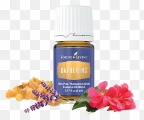 Gathering Essential Oil Blend - Transparent Thieves Essential Oil Emoji,Emotions Transition Doterra