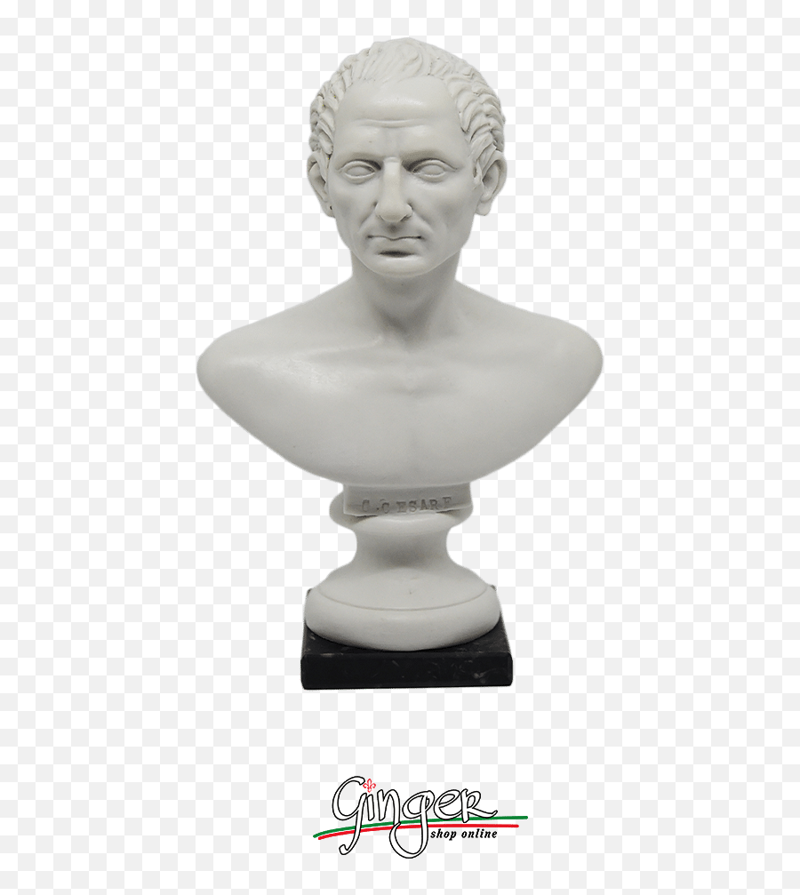 Roman Emperor - Classical Sculpture Emoji,Michelangelo David Emotions