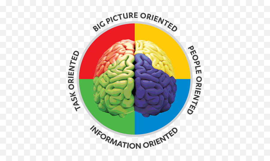 Iceberg India - Personality Four Colours Emoji,Brain Lobes Emotion Intellect Personality