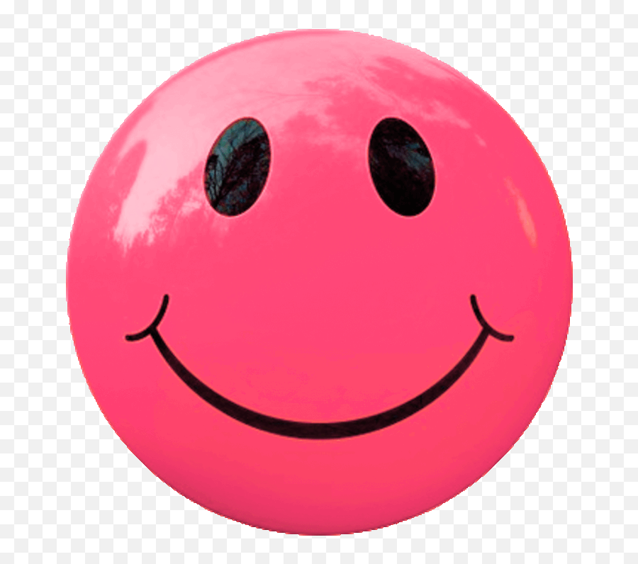 Fun And Learning About Chuck Norris - Happy Emoji,Chuck Norris Emoji