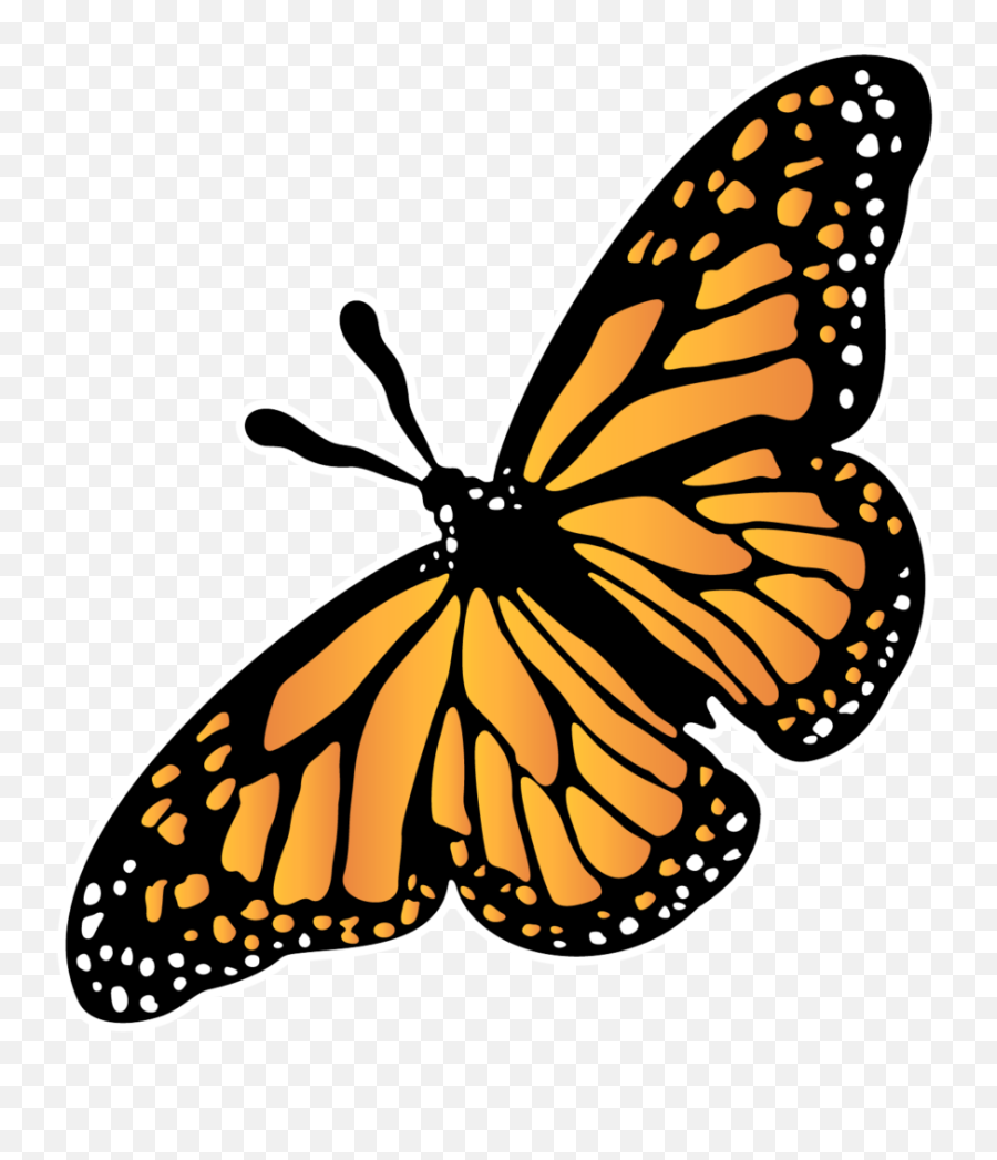 Animal Interest - The Country Journal Monarch Butterfly Emoji,Milky Emotions Pets