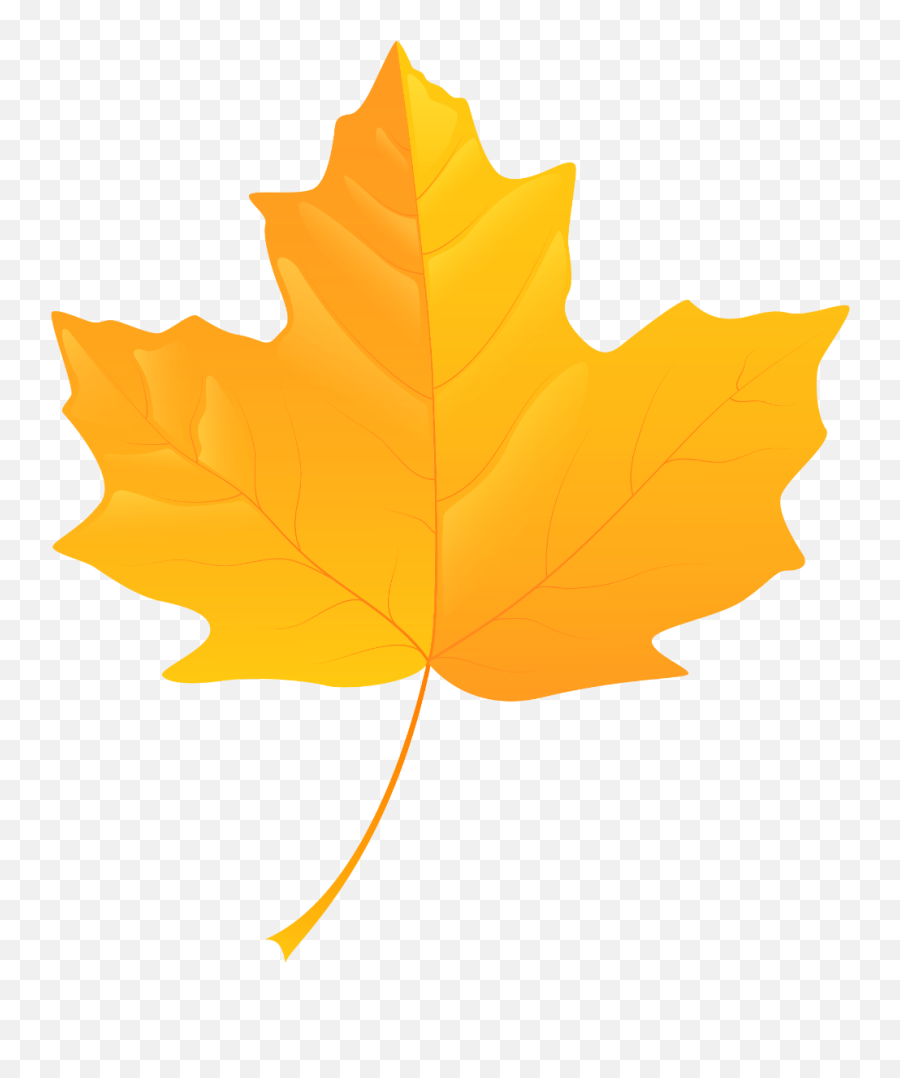 46 Leaves Png Images Ideas - Clipart Fall Leaf Png Emoji,Little Yellow Maple Leaf Meaning In Emotions