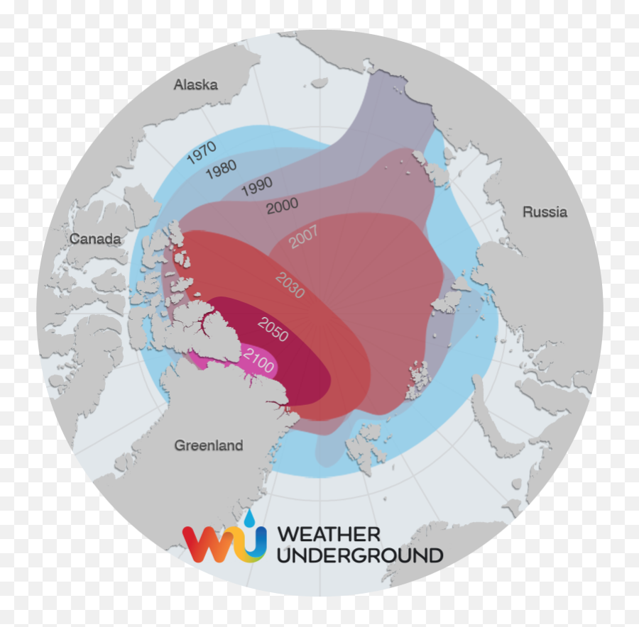 Where Oh Where Did The Wildlife Go U2013 Anastasiau0027s Civic - Melting Ice Arctic Map Emoji,Ice Bear Showing Emotion