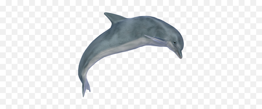 Png Images Dolphin 33png Snipstock - Transparent Png Of Dolphin Jumping Emoji,Dolphins And Emotions