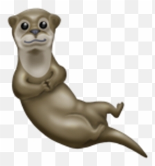 Neue Emojis Für Whatsapp 2019 Wann Sie Kommen Und Was Sie - Whatsapp Emoji Names Animal,Otter Emoji Iphone