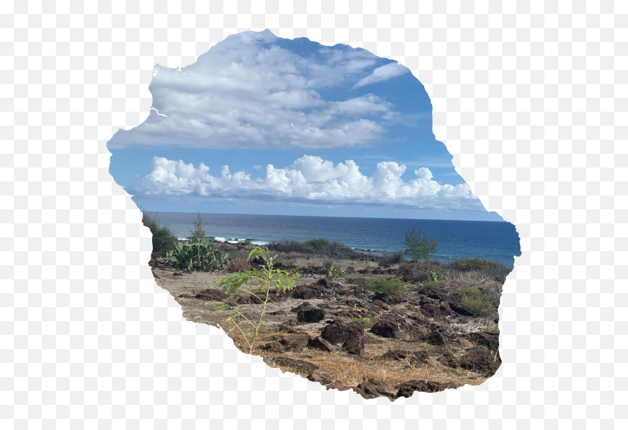 Villa À Louer À La Réunion Les Trois - Bassins Shanta Beach Emoji,Mordous Emotion