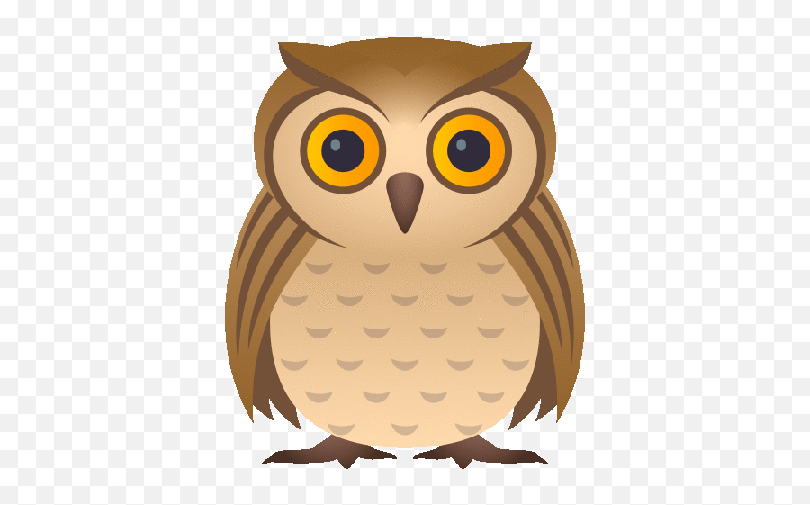 Owl Nature Gif - Soft Emoji,Screech Emoji