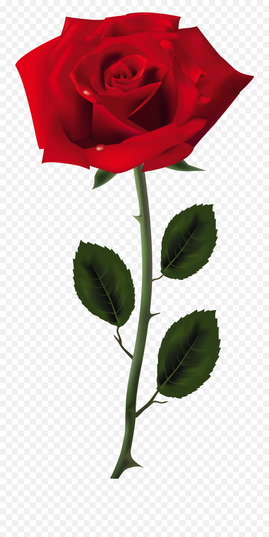 Free Red Rose Transparent Background - Transparent Rose Png Emoji,Red Rose Emoji