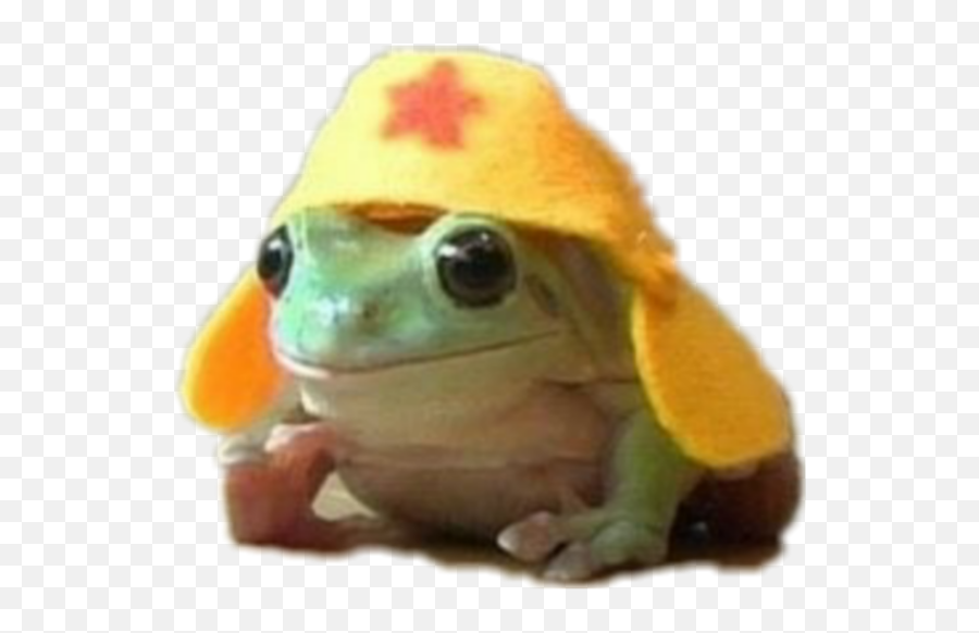 Frog Cute Uwu Hat Sticker - Soft Emoji,Frog Emoji Hat