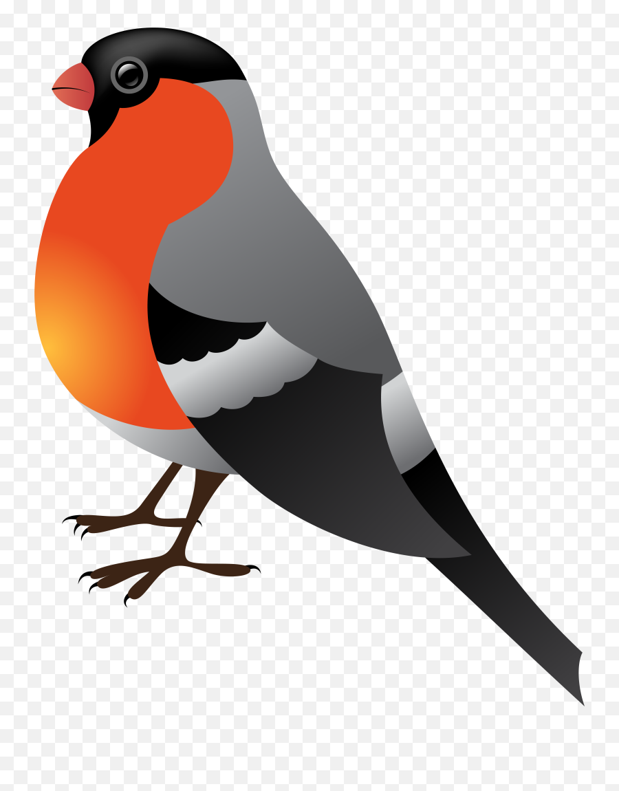 Bird Winter Clip Art Emoji,Bird Emoticon Tumblr