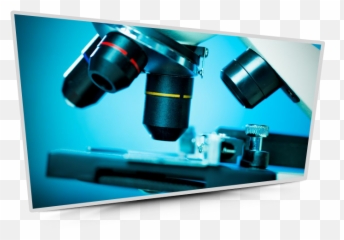 Veterinary Clinical Pathology - Microscopio Hd Emoji,Panorama 4e Verbs Of Emotion