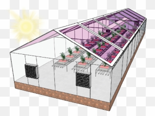 Understanding Mycorrhizae And Root Zone - Greenhouse Solar Panels Emoji,Man Goes Through Roller Coaster Of Emotions On Salvia