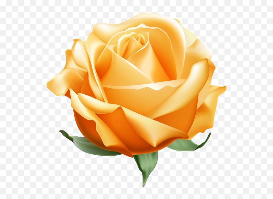 Yellow Roses - Portable Network Graphics Emoji,What Is The Emotion For Yellow Roses