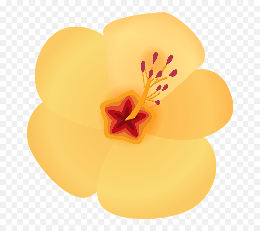 Hibiscus Flower Hawaii Bloom - Primrose Emoji,Hawaiian Flower Emoticon