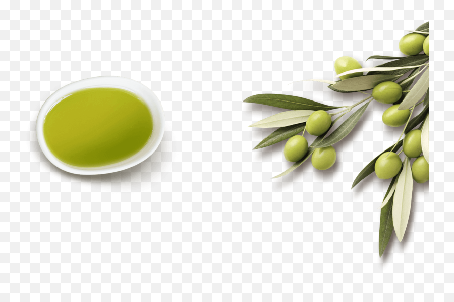 Olive Png - Olive Oil Png Clipart Full Size Clipart Emoji,Olive Oil Emoji