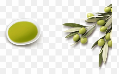 Olive Png - Olive Oil Png Clipart Full Size Clipart Emoji,Olive Oil Emoji