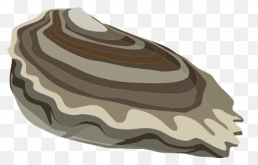 Clip Art Oyster - Clip Art Library Oyster Clipart Transparent Background Emoji,Oyster Emoji