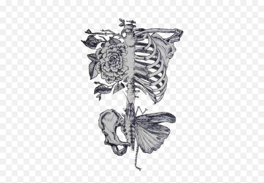 Art Tattoo Tattoos Anatomy Art - Moth Skeleton Tattoo Emoji,Human Emotion Tree Art Design Art