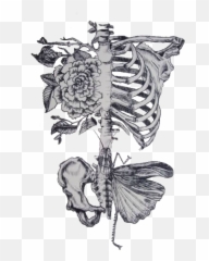 Art Tattoo Tattoos Anatomy Art - Moth Skeleton Tattoo Emoji,Human Emotion Tree Art Design Art
