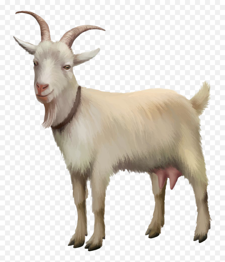 White Goat Png Photos - Realistic Goat Clip Art Emoji,The G.o.a.t Emoji