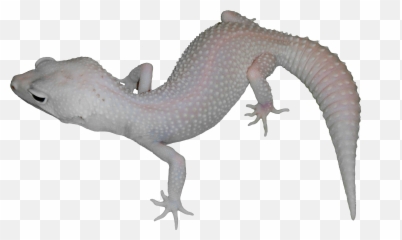 Alligator Lizard Clipart - Animal Figure Emoji,Lizard Emoji