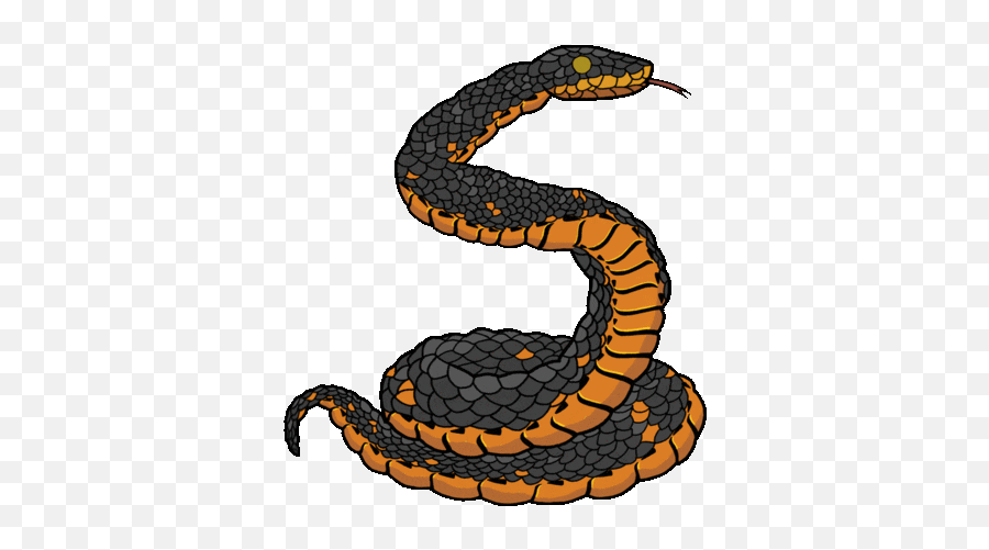 Can You See That In The Zoo Baamboozle Emoji,Happy Birthday Snake Emoticon Animated