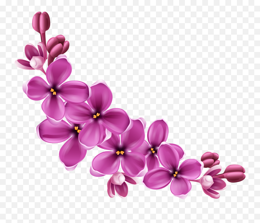 Flower Clip Art - Flowers Png 9 Png Download 49674131 Flowers Png Emoji,Flower Emoji Background