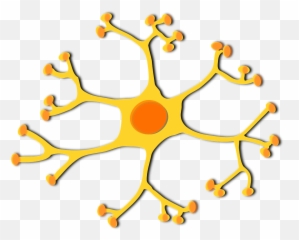 Brain Facts For Kids Cool Kid Facts Emoji,Thinky Emoji