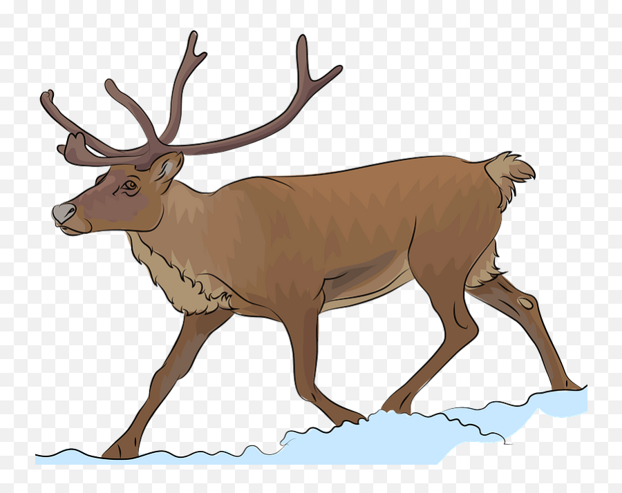 Reindeer Clipart - Realistic Reindeer Clipart Emoji,Whitetail Deer Emoji