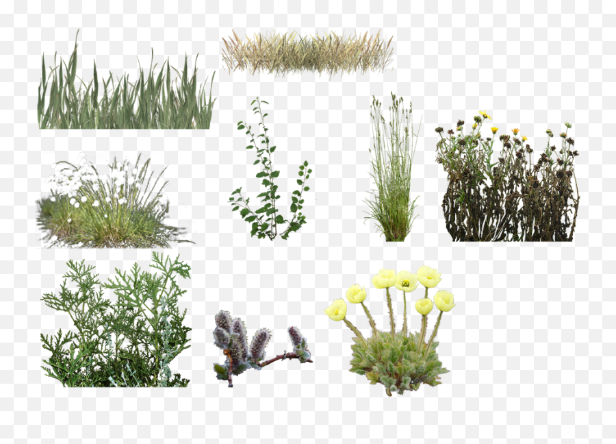 Scenery Development Forum - Fines Herbes Emoji,Albedo Emojis