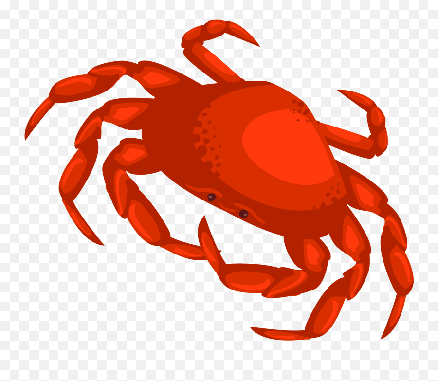 Drawn Crab Transparent - Crab Vector Png Transparent Clipart Crab Transparent Background Emoji,Crab Emoji