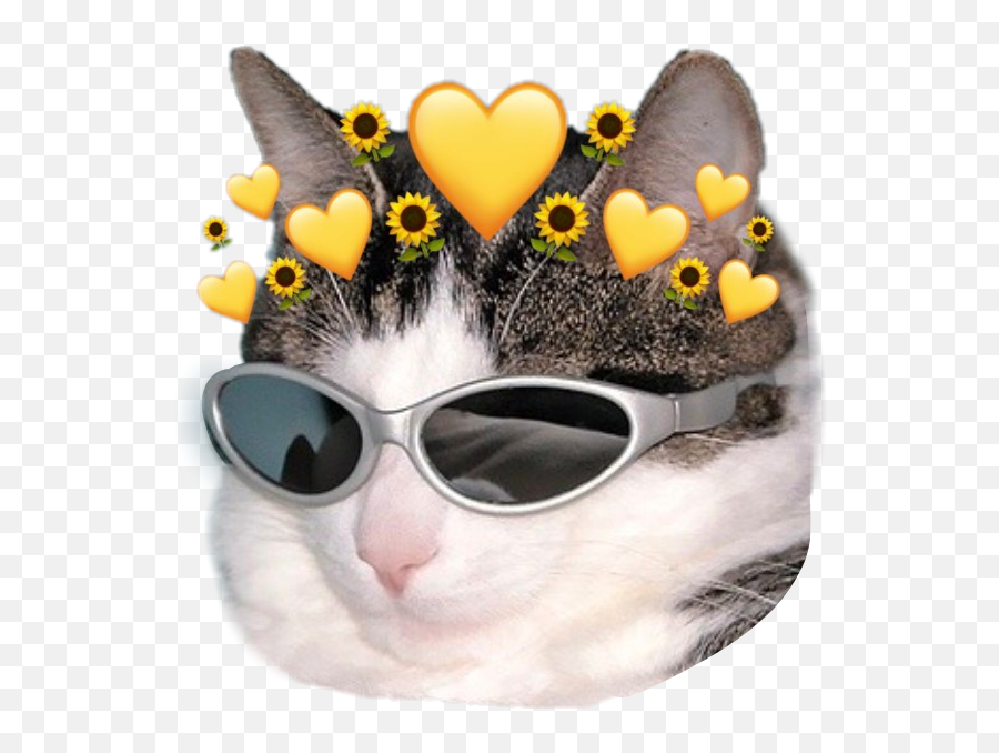 Cat Heartcrown Sticker By Sad Cat - Girly Emoji,Sad Cat Heart Emojis