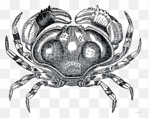 Hermit Crab Black And White Png Images - Art Mark Making Worksheet Emoji,^ Crab Emoticon V.