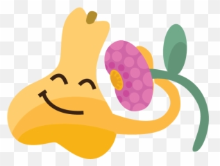 New West Farmers Market - Happy Emoji,Discord Kimchi Emoji