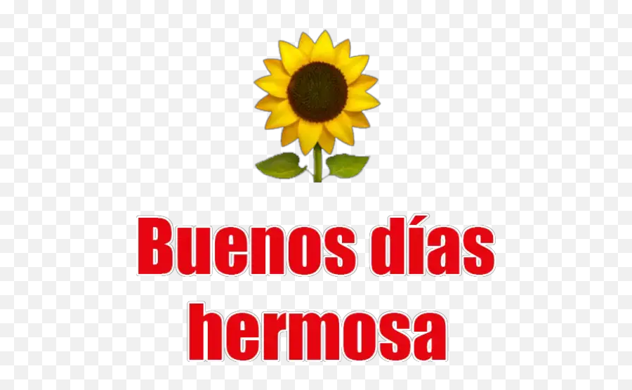 Pack De Buenos Días Stickers For Whatsapp - Language Emoji,Emojis De Saludo Pack De Buenos Días Stickers For Whatsapp - Language Emoji,Emojis De Saludo