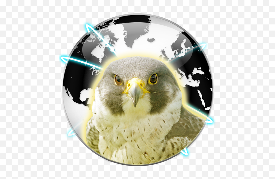 Falcon Private Browser 11 Apk For Android - Germany Vs Iran Emoji,New Emojis 9.0.1